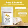 Addictive Wellness Lions Mane Supplement Powder, Premium Quality Lions Mane Mushroom Powder Dual-Extract Nootropic, Sugar Free, Vegan & Paleo Lion's Mane Mushroom Supplement - 1500 mg (100 Grams) view 3