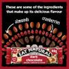 Eat Natural Fruit & Nut Bar, Peanuts, Cranberries, Almonds, Coconut and Dark chocolate, Vegan, Gluten-Free Snack, Great for On the Go, 3 x 40 g view 3