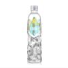 Ursu9 Natural Alkaline Mineral Water - 6 x 500ml | Ph9 | Naturally High in Calcium | Enhanced Hydration & Muscular Recovery | Supports Dental Health, Heart & Diabetes Care | CR7 Inspired view 1