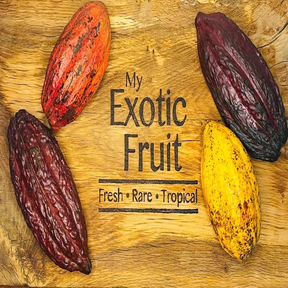Fresh Rare Tropical Cacao Pods with Pulp and Beans (1 Case ( 3 to 4 Pods))