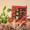 Walnut Tree  Marron Glacs, Marzipan & Ptes de Fruits Gift Box  Handpacked in the UK  Great Taste Award Winner  Suitable for Gluten Free Diets  Luxury Gift Selection, Birthday, Anniversary 300g view 3