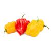 Hot Pep Spain 4kg view 1