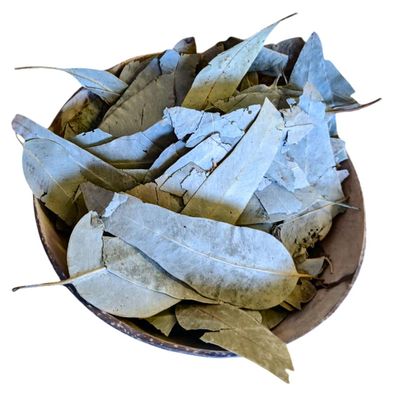 100g / 0.22lbs Dried Moroccan Premium Eucalyptus Leaves | Personally Sourced | High Grade Raw Material