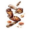 4 x Chocolate Assortment Box 584g Delicious Tasty And Twisty Treat Gift Hamper For Birthday,Christmas,Easter,New Year view 3