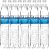 Spring Still Water 500ml, 40 Bottles Case-Bottled Water for Everyday Use view 2