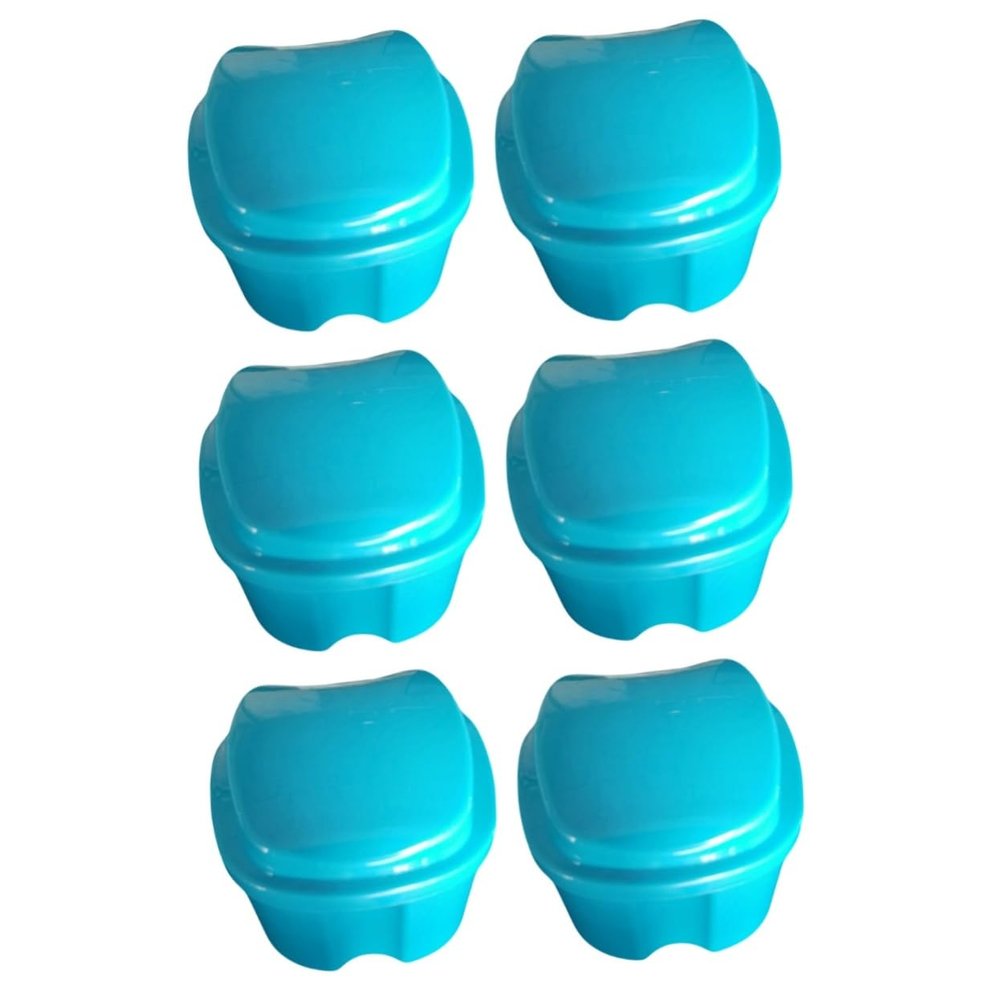 COLLBATH 6pcs Denture Storage Box Portable Artificial Tooth Storage Case Strainer Hinge Denture Case Random Color