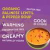 RIFCo Organic Balinese Lentil & Pepper Soup, 6 x 400 g Cans  Balinese-Style Soup with Lentils, Red Pepper, Ginger, Chilli & Creamed Coconut view 3