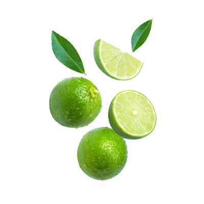 Fresh Limes  Size 54 / 48 / 60 Grade  Premium Juicy Citrus for Cocktails, Bars, Restaurants & Catering (Bulk Case)