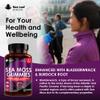 Sea Moss Gummies - Enriched with Irish Sea Moss, Burdock Root and Bladderwrack - High Strength 3000mg Vegan Gummy - Seamoss Gummies Made in UK by New Leaf 60 Gummys view 3
