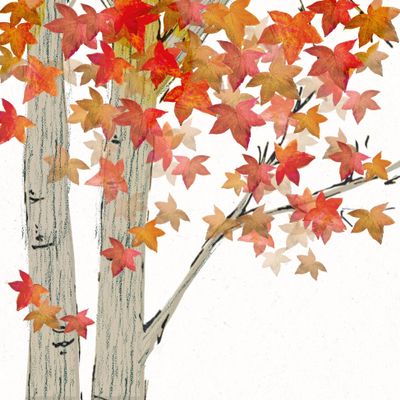 20 Napkins Autumn Autumn Leaves on a Tree Table Decoration Paper Napkins with Motif Also for Decoupage and Decoupage 33 x 33 cm