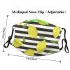 blue stripe and Lemon Adult Dust Mask Cover - Breathable, Adjustable for Outdoor, Camping, Running, Traveling, Work, and Daily Use view 4