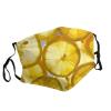 Lemon slices Adult Dust Mask Cover - Breathable, Adjustable for Outdoor, Camping, Running, Traveling, Work, and Daily Use view 2