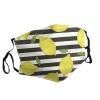 blue stripe and Lemon Adult Dust Mask Cover - Breathable, Adjustable for Outdoor, Camping, Running, Traveling, Work, and Daily Use view 2