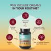 Grass Fed Beef Organ Capsules, Beef Organ Supplement with Liver, Heart, Kidney, Pancreas & Spleen, Natural Whole Food Complex, Non-GMO,180 Capsules By AMPM view 2