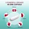 Grass Fed Beef Organ Capsules, Beef Organ Supplement with Liver, Heart, Kidney, Pancreas & Spleen, Natural Whole Food Complex, Non-GMO,180 Capsules By AMPM view 4