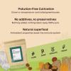 NutriCraft Organic Four Mushroom Blend Powder - 250g - Lion's Mane, Reishi, Cordyceps, Chaga, Vegan, Immune Support, Energy & Brain Health, No Additives or Preservatives view 3