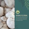 NutriCraft Organic Four Mushroom Blend Powder - 250g - Lion's Mane, Reishi, Cordyceps, Chaga, Vegan, Immune Support, Energy & Brain Health, No Additives or Preservatives view 4