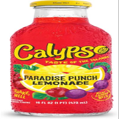 Calypso Lemonade | Island-Inspired Flavors with Real Lemon | (Pack of 12, Paradise Punch Lemonade)