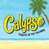 Calypso Lemonade | Island-Inspired Flavors with Real Lemon | (Pack of 12, Paradise Punch Lemonade) view 2
