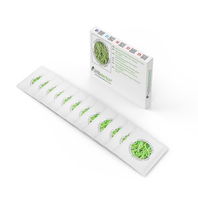 Yogurt Starter Cultures - Pack of 12 Freeze-Dried Sachets for Lactobacillus Rhamnosus and L.Gasseri Yogurt (12 sachets Pack)