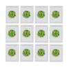 Yogurt Starter Cultures - Pack of 12 Freeze-Dried Sachets for Lactobacillus Rhamnosus and L.Gasseri Yogurt (12 sachets Pack) view 2