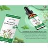 Cyperus Rotundus Oil, New Cyperus Rotundus Oil for Hair Removal, 60ml Natural Cypress Oil Hair Removal for All Skin Types (1) view 3