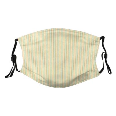Reusable Cloth Face Mask,Shabby Chic Stripe Adult Washable Face Cover With Adjustable Earloops Nose Wire