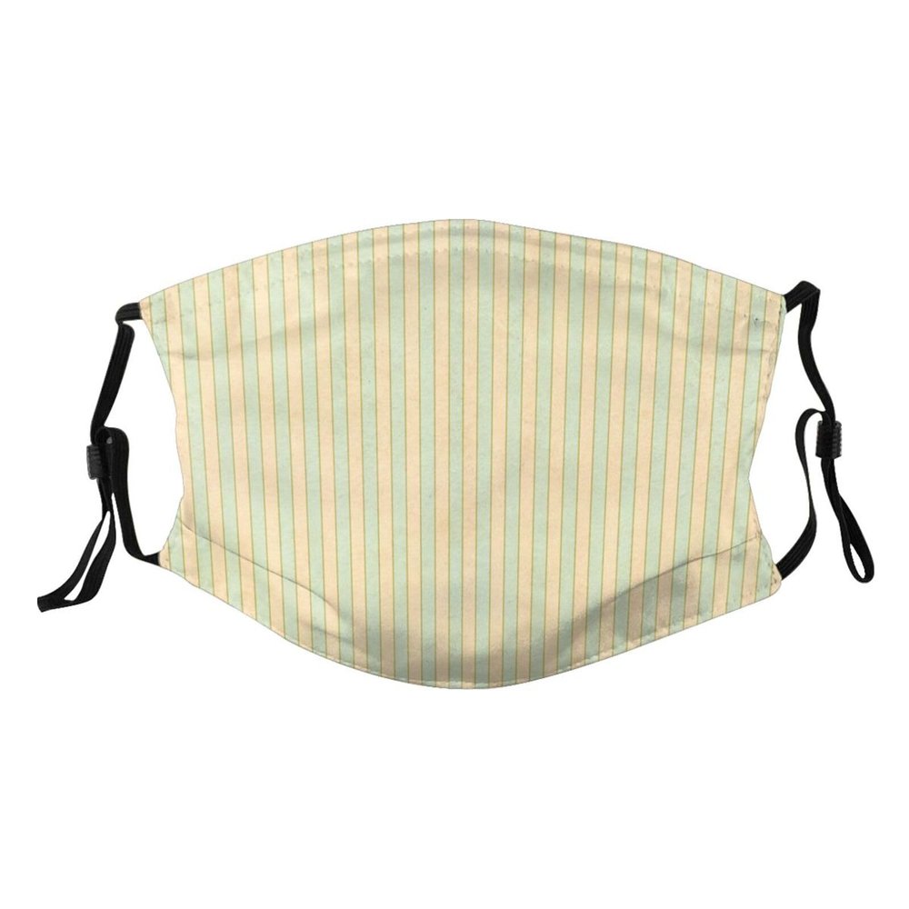 Reusable Cloth Face Mask,Shabby Chic Stripe Adult Washable Face Cover With Adjustable Earloops Nose Wire