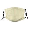 Reusable Cloth Face Mask,Shabby Chic Stripe Adult Washable Face Cover With Adjustable Earloops Nose Wire view 1