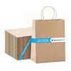 Nationwide Paper 100 Brown Kraft Party Paper Bag with Twist Handles, Extra Small Paper Bag, Biodegradable, DIY, Party, Shopping, Gifting, Grocery, Wedding, Birthday (13.3x20.3x9.5cm) view 1