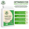 CoQ10 Extra, CoQ10 Supplement 300mg & Vitamin B1, 60 Capsule, Energy Heart Health | Co Q10 Supplements Co Q 10 Supplement Co Enzyme CQ10 High Strength CQ10 Supplement Q10 Coenzyme Q10 High Strength view 3