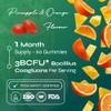 Known Tasty Pre+Pro Gut Support Gummies with CFU Bacillus Coagulans - Natural Pineapple & Orange Flavour - 60 Two-a-Day Vegan Vitamin Gummies, 3 Month Supply view 3