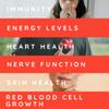 WELL ACTUALLY Liposomal Vitamin B Complex High Strength and Bioavailability - 8 Essential B Vitamins Complex for Energy, Brain, Metabolism Support - Tropical Flavour (50 Servings) view 3