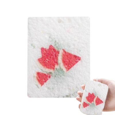 Reusable Kitchen Sponge Compressed Wood Pulp Reusable Cleaning Sponge Wipes
