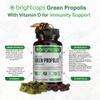 Bee Health Propolis | Brazilian Green Propolis with Vitamin D + Turmeric with MSM and Vitamin C | Immune System Booster and Joint Pain Support view 3