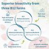 Igennus Super Vitamin B12 Complex 5000mcg, High Strength Liquid Sublingual Spray, Methylcobalamin, Adenosylcobalamin & Hydroxocobalamin,Methylated & Clean, Natural Cherry Flavour, 45 Servings, Vegan view 3