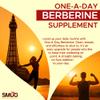 Berberine 98% Extract  365 Micro Tablets  One A Day  Plant Based  Vegan  Made in Britain  SMUG Supplements view 2