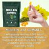 BetterLungs Mullein Gummies,Healthcare Supplement Edible Fitness Dietary Gummy,Lung Health & Sinus Relief,Daily Respiratory Health Gummies,Mullein Leaf Extract for Lungs,Pear Flavor Gummies (2) view 2