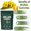 BetterLungs Mullein Gummies,Healthcare Supplement Edible Fitness Dietary Gummy,Lung Health & Sinus Relief,Daily Respiratory Health Gummies,Mullein Leaf Extract for Lungs,Pear Flavor Gummies (2) view 4