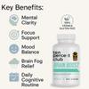 Ten Percent Club Brain Boost, Lions Mane Capsules for Focus & Clarity  Nootropic Mushroom Supplement for Cognitive Support, Memory, High Strength Brain Health Formula for Mental Energy - 90 Caps view 4