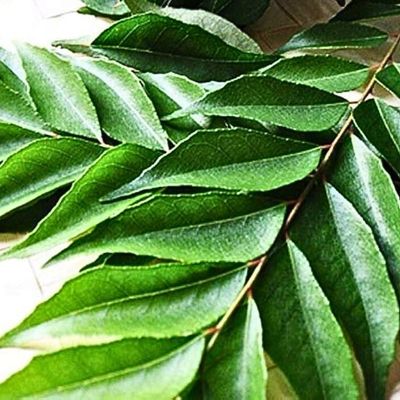 Fresh Curry Leaves 1 kg | Natural Curry Leaves | Kaddi Patta | Karapincha