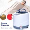 4L Sauna Generator with Thermostat, 2000W Portable Portable Fumigation Machine with Remote Control, Sauna Steamer Pot for Large Wooden Barrel Steam Sauna Rooms, Body Therapy Steamer with Timer view 2