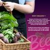 Beet It Organic Ginger Circulate+ Shot  15 x 70ml, Natural Beetroot & Ginger, Organic, Additive-Free, Performance Boost view 4