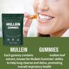 BetterLungs Mullein Gummies,Healthcare Supplement Edible Fitness Dietary Gummy,Daily Respiratory Health Gummies,Lung Health & Sinus Relief,Pear Flavor (1) view 2