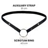 Auxiliary Chastity Belt Strap Adjustable Support Band with Scrotum Ring for Male Chastity Devices Durable Stainless Steel Harness Accessory for Secure Cage Fit & BDSM Play (Black) view 3