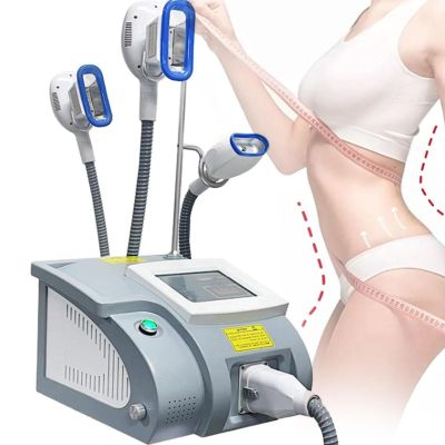 ZXSYYDS Professional Cryolipolysis Fat Lipolysis Instrument,Cryolipolysis Fat Freezing Machine with 3 Handle,Slimming Body Freezing Machine for Arm Hip Leg Body