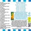 Ginger Glow - Lime-Melon-Ginger Flavor Concentrate - Vegan - Sasami - 10ml view 4