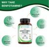 Benfotiamine 500mg x 120 Capsule | 4 Months Supply | Fat Soluble Vitamin B1 (Thiamine) for Nerve Health & Cognitive Enhancement | Vegan, Non-GMO & Gluten Free | Zero Additives | Third Party Lab Tested view 4