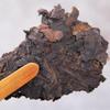 Aged Fermented Menghai Bulangshan Pu'er Ripe Tea 357g Treasure, Yiwu Old Tree Tea view 4
