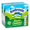 Ambrosia Devon Custard 500g x 1, Instant Ready to Eat Hot or Cold Dairy Dessert, Cake Pudding Topping with Welari Thank You Card | (1pack) view 2